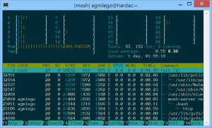 A screenshot of a programm called htop, running on the new server and showing minimal resource utilization under load