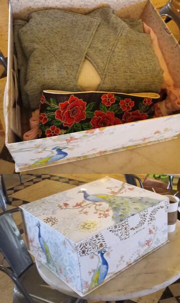 File:AshleyCostumeBox.jpg