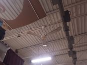 Laser ceiling fan.jpg